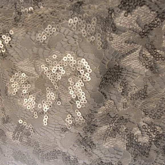 NY&C Silver Lace Sequin Dress, Size 0 NWOT - Picture 2 of 15